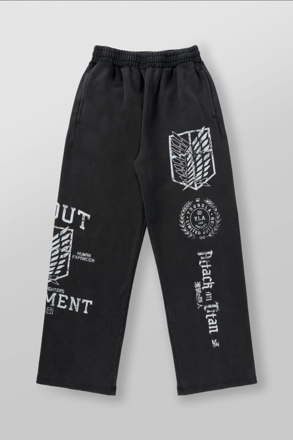 YoungLA AOT© x YLA Baggy Joggers