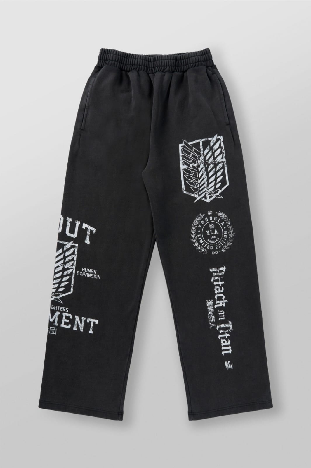 YoungLA AOT© x YLA Baggy Joggers
