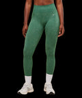 Gymshark Adapt Fleck x Whitney Leggings Lift Green